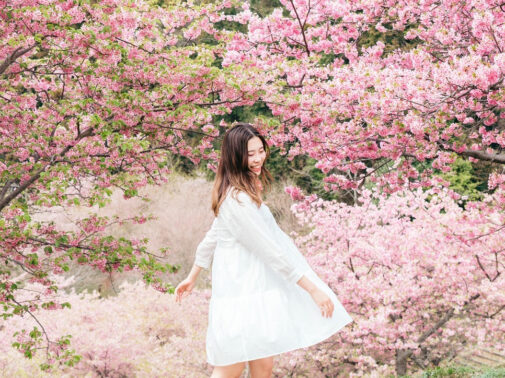 {{brizy_dc_image_alt entityId=